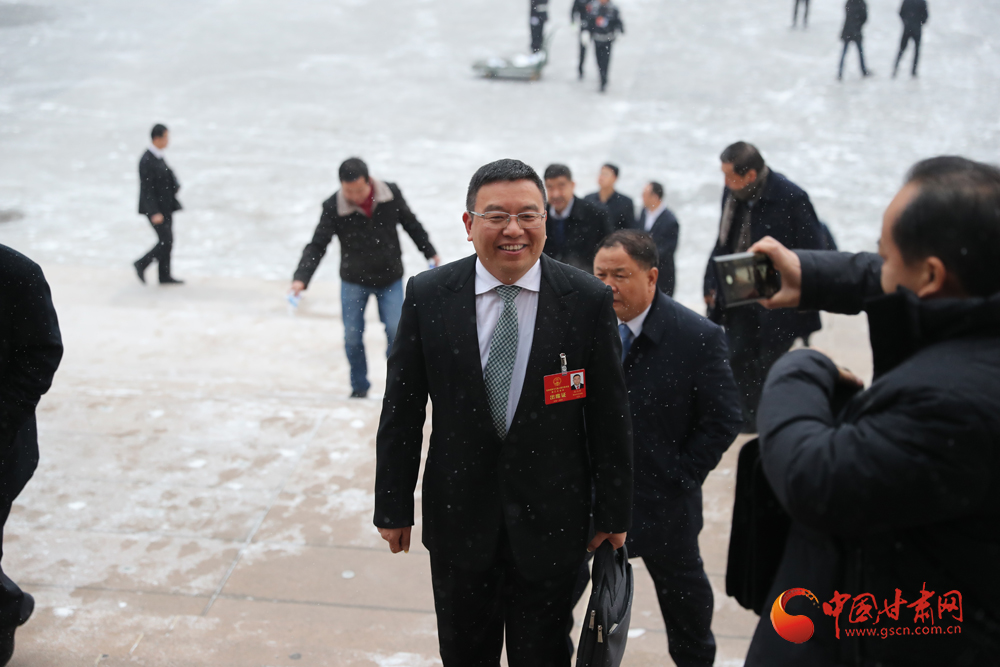 【聚焦2020甘肅兩會】“兩會”代表、委員風采掠影（組圖）