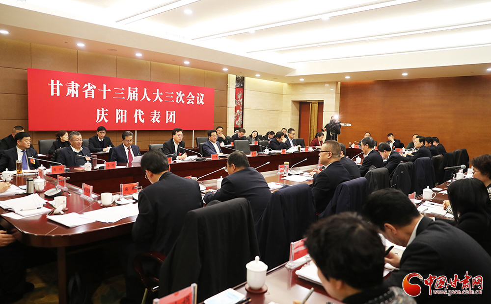 【聚焦2020甘肅兩會】省十三屆人大三次會議各代表團分組審議《政府工作報告》（組圖）