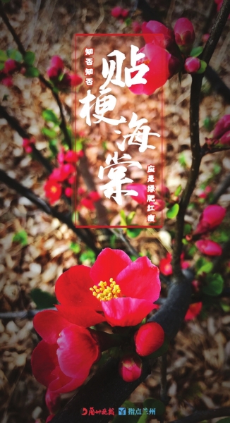 來，跟這些美美的花朵認識一下！