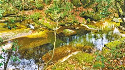 甘肅旅游丨八福溝，西秦嶺深處的水韻秘境