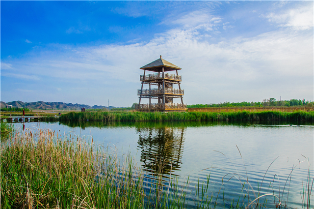 秦王川國(guó)家濕地公園_副本.jpg