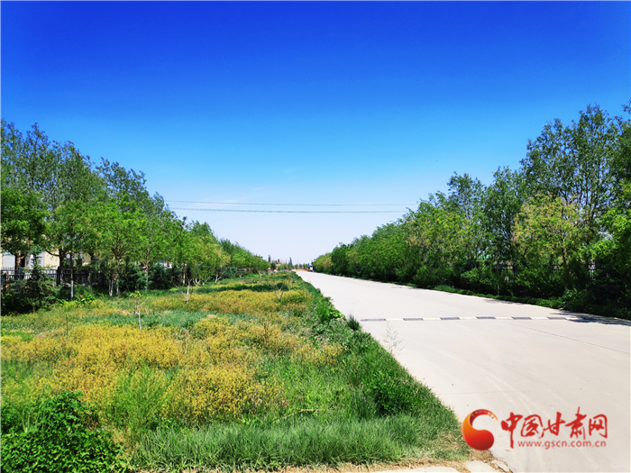 【甘肅省決戰(zhàn)決勝脫貧攻堅】從“養(yǎng)羊”到“吃羊”：武威涼州這家企業(yè)形成產(chǎn)業(yè)閉環(huán)抗風(fēng)險