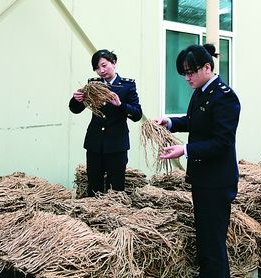 甘肅中藥材出口同比增長(zhǎng)近3倍