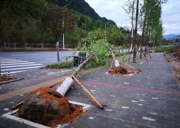 刮風(fēng)下雨加速新冠病毒傳播？別信！