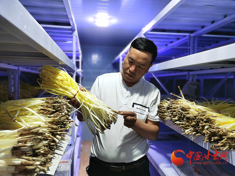 甘肅民勤：以科技創(chuàng)新引領智慧農業(yè)