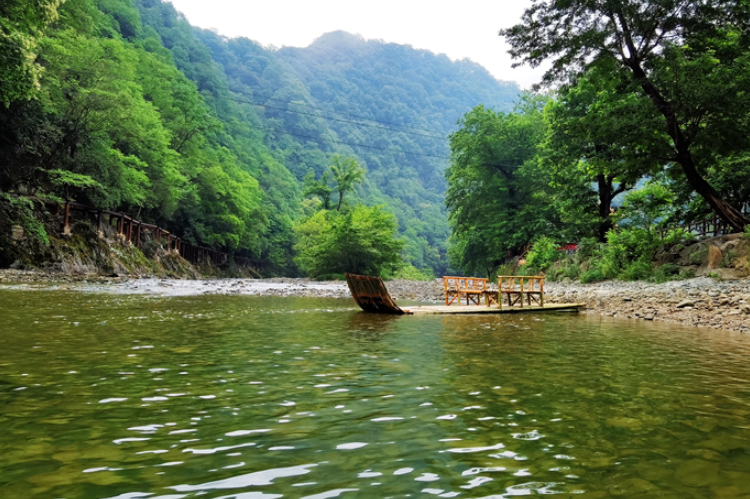 【小隴畫報·95期】康縣：來陽壩，“森”呼吸，我“氧”你