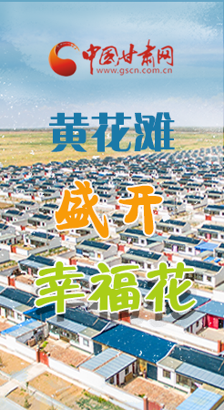 【跟著總書記看甘肅】長(zhǎng)圖|武威黃花灘盛開(kāi)幸福花 
