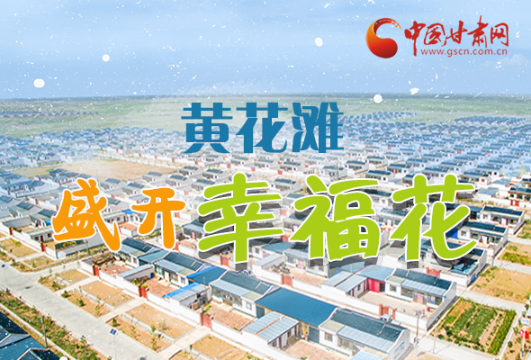 【跟著總書記看甘肅】長(zhǎng)圖|武威黃花灘盛開(kāi)幸?；?