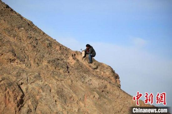 圖為敦煌“80后”畫家張杰龍在敦煌三危山里采集礦石顏料。(資料圖)受訪者供圖