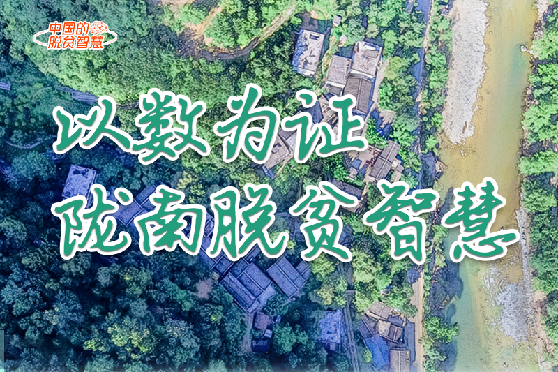 【中國(guó)的脫貧智慧】以數(shù)為證！隴南脫貧智慧來了！