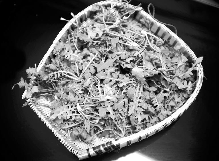 甘肅美食丨摘野菜，咬個“春”，讓味蕾清新起來