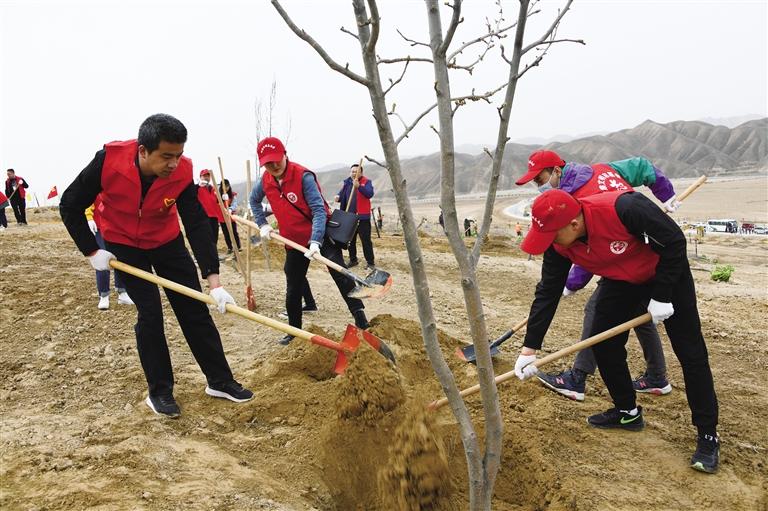 甘肅省委組織部在新區(qū)開展義務(wù)植樹暨文明創(chuàng)建主題黨日活動(dòng)