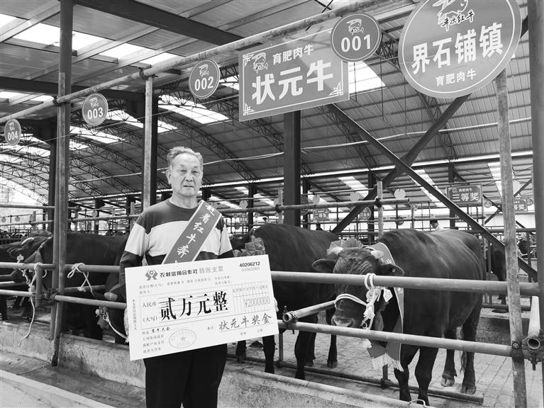 120頭“平?jīng)黾t?！膘o寧爭霸