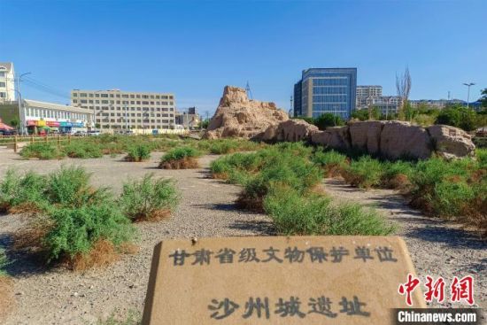 圖為沙州郡城遺址公園古遺址?！⊥醣筱y 攝