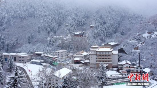 圖為籠罩在雪下的世界。吳永 攝
