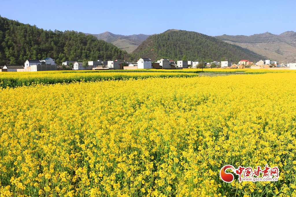 甘味品牌中心暨云上甘味聯(lián)展活動(dòng)啟動(dòng)