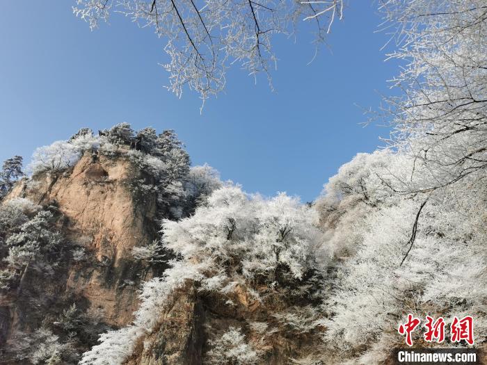圖為藍天下霧凇籠罩山脈?！⌒煺袢A 攝