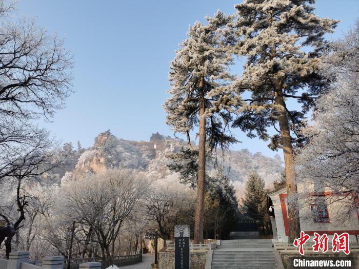 圖為崆峒山霧凇景色美不勝收?！⌒煺袢A 攝