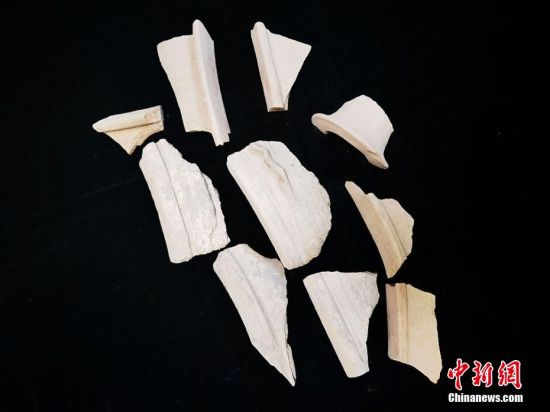 圖為靜寧縣賈河鄉(xiāng)竇坪村出土的彩陶片、紅陶片。 夏劍鋒 攝