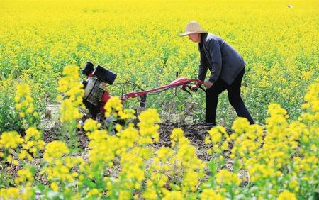 隴南武都區(qū)角弓鎮(zhèn)農(nóng)民使用旋耕機翻耕土地