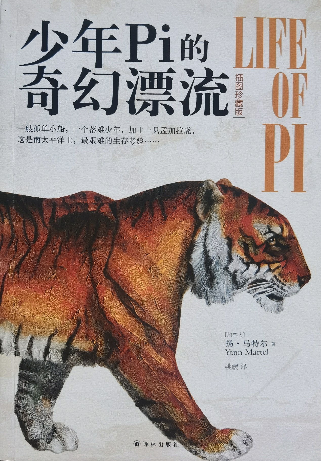 插圖1：揚？馬特爾的小說《少年pi的奇幻漂流》封面
