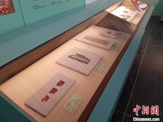 圖為展覽現(xiàn)場。　敦煌研究院供圖