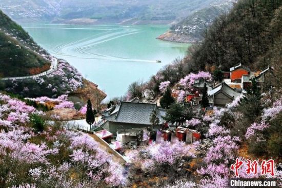 甘肅平?jīng)鍪惺侵袊鴥?yōu)秀旅游城市。圖為平?jīng)鲠轻忌较率锾一ㄊ㈤_。(資料圖) 平?jīng)鍪形麄鞑抗﹫D