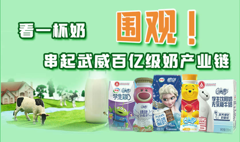 圖解|圍觀！看一杯奶串起武威百億級奶產(chǎn)業(yè)鏈