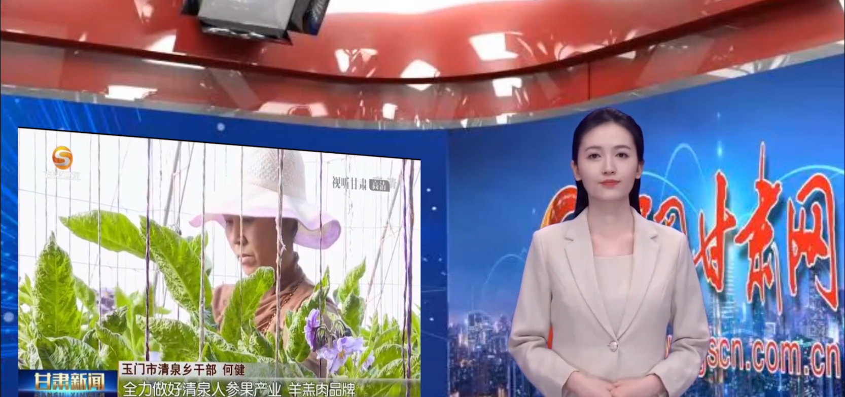 【AI小隴說·黨的二十大精神在基層】示范建設為引領(lǐng)，美麗鄉(xiāng)村畫中來