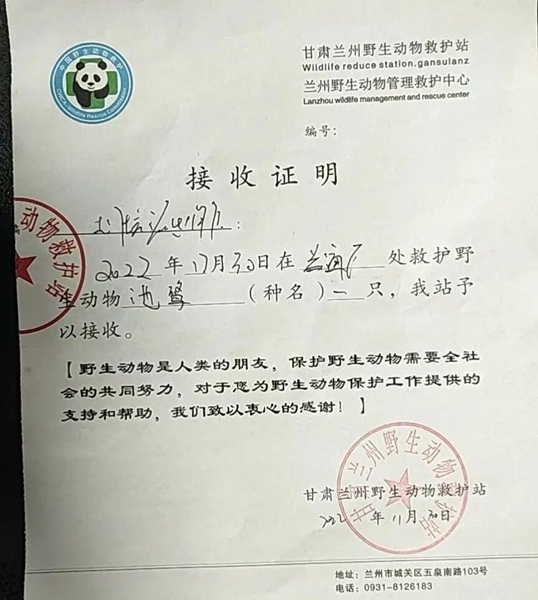 受到救助的池鷺被蘭州野生動物保護(hù)站接收。（蘭州市公安局七里河分局供圖）