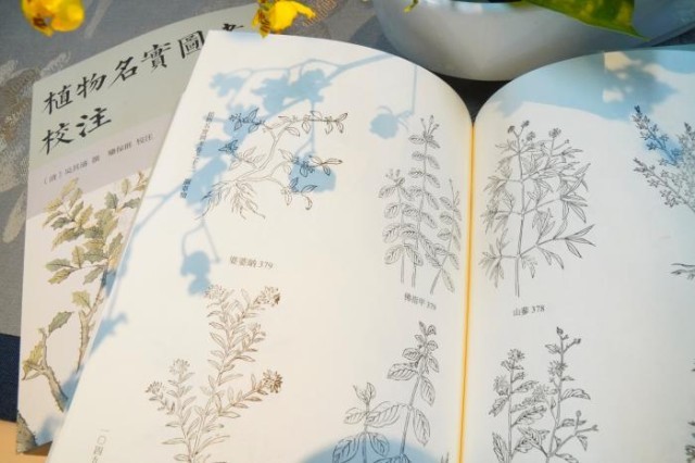 《植物名實圖考校注》內(nèi)頁。圖片來源：中華書局供圖