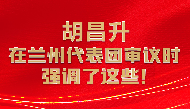 圖解|胡昌升在蘭州代表團審議時強調(diào)了這些！