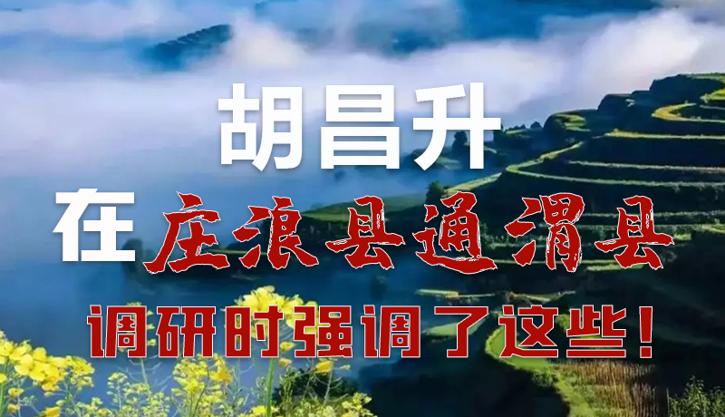 圖解|胡昌升在莊浪縣通渭縣調(diào)研時(shí)強(qiáng)調(diào)了這些！
