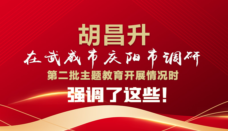 圖解|胡昌升在武威市慶陽市調(diào)研第二批主題教育開展情況時(shí)強(qiáng)調(diào)了這些！