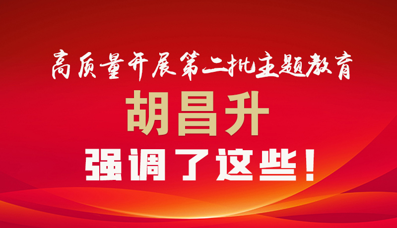 圖解|高質(zhì)量開展第二批主題教育 胡昌升強(qiáng)調(diào)了這些！