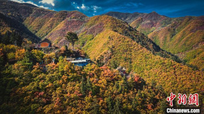 深秋，位于蘭州市榆中縣的興隆山，似打翻調(diào)色板。金峯 攝