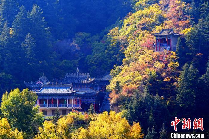 深秋，位于蘭州市榆中縣的興隆山景色如畫。宮衛(wèi)紅 攝