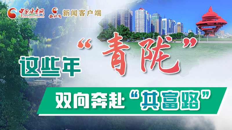 【江河奔流·青隴協(xié)作譜新篇】這些年，“青隴”雙向奔赴“共富路”