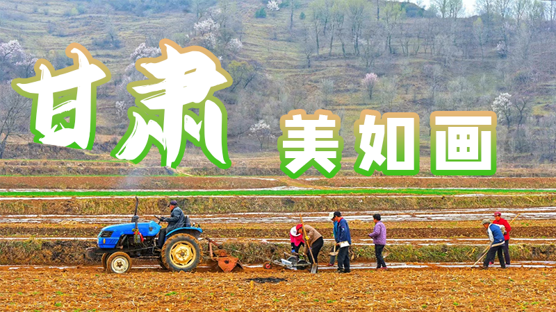 微海報(bào)|甘肅，美如畫
