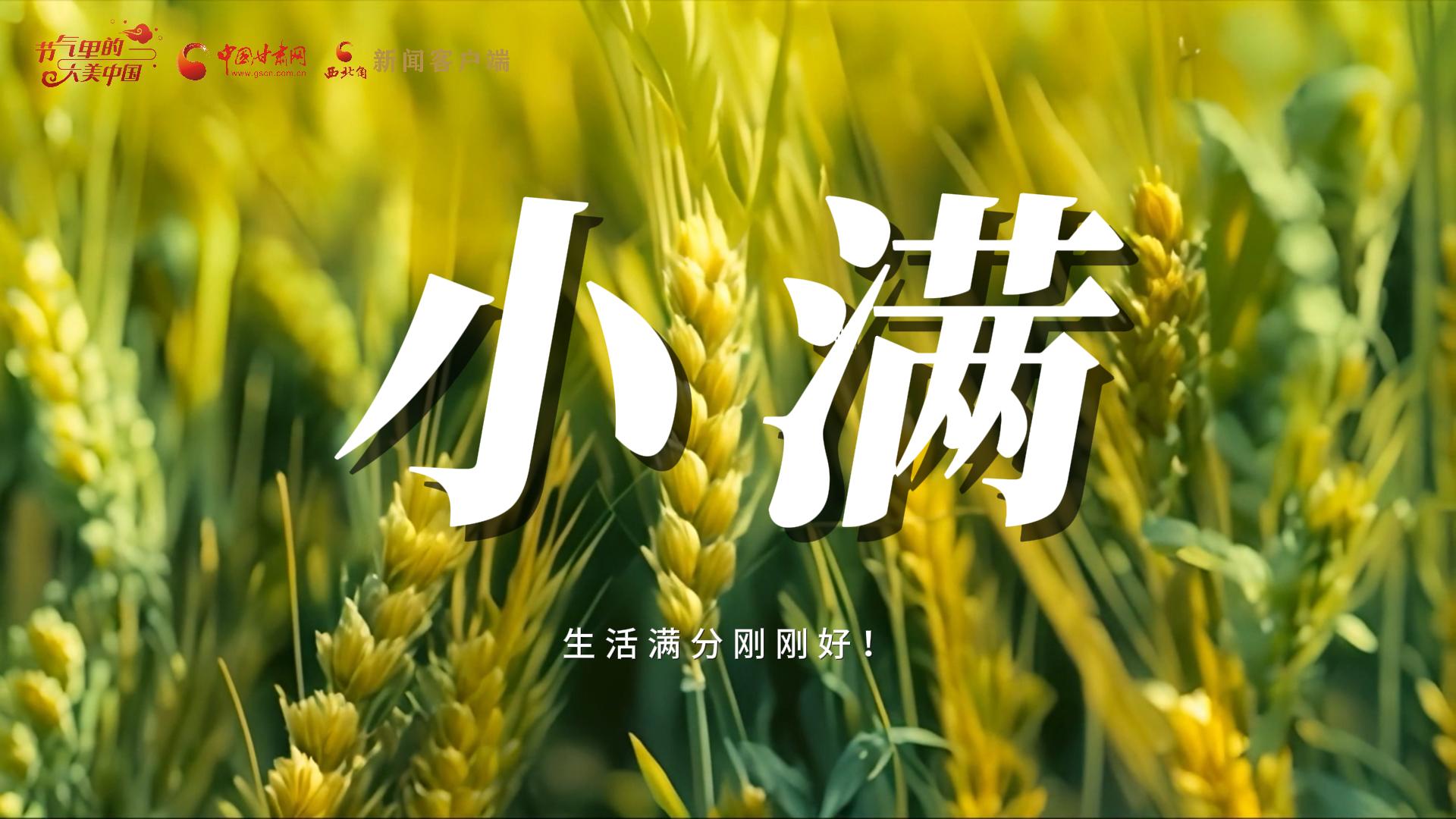 【節(jié)氣里的大美甘肅·小滿】生活滿分剛剛好！