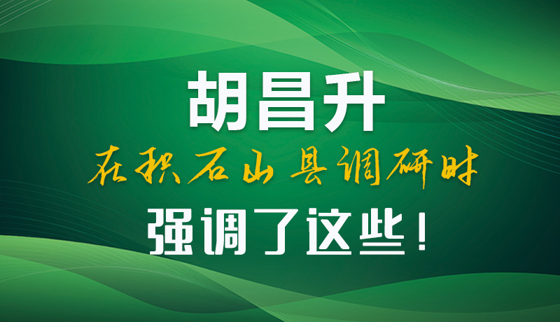 圖解|胡昌升在積石山縣調(diào)研時強(qiáng)調(diào)了這些！