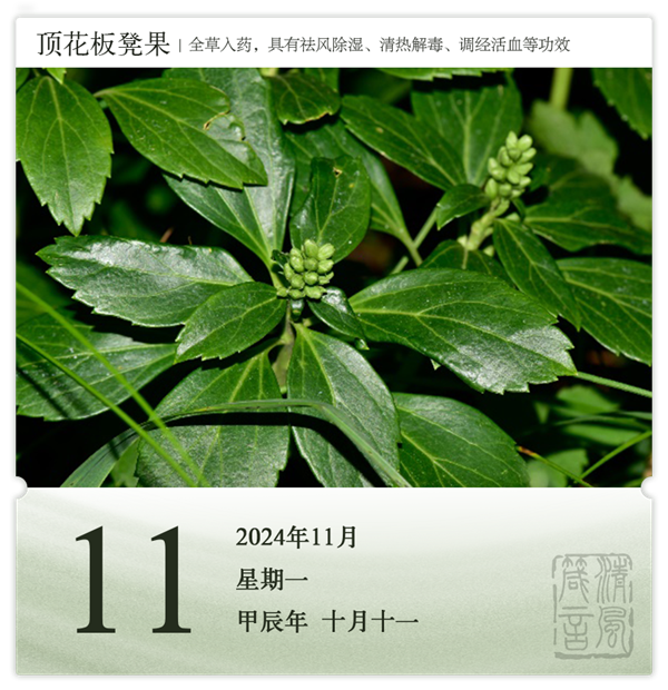箴歷日歷11-11.png