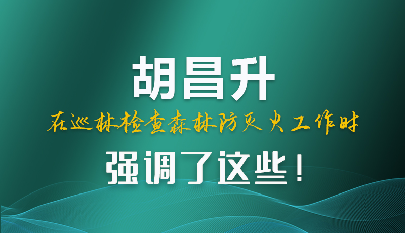 圖解|胡昌升在巡林檢查森林防滅火工作時強(qiáng)調(diào)了這些！
