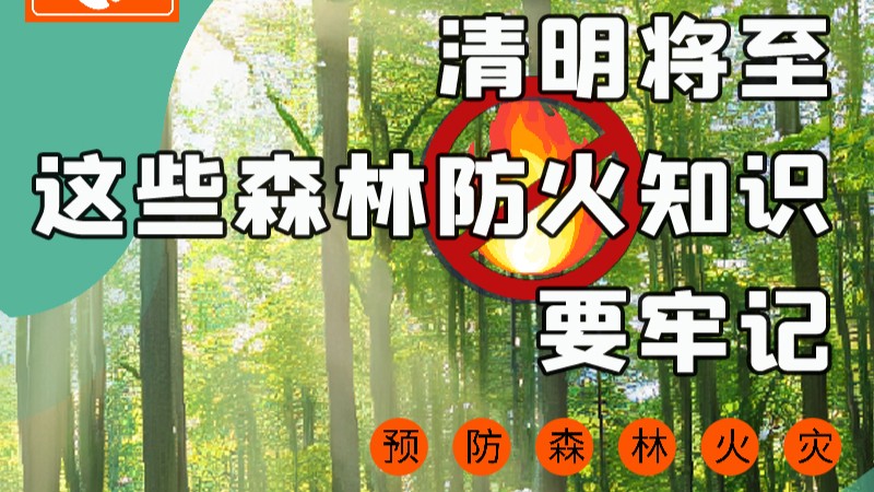 【甘快看】圖解|緊繃“安全弦”！清明，這些森林防火知識(shí)要牢記