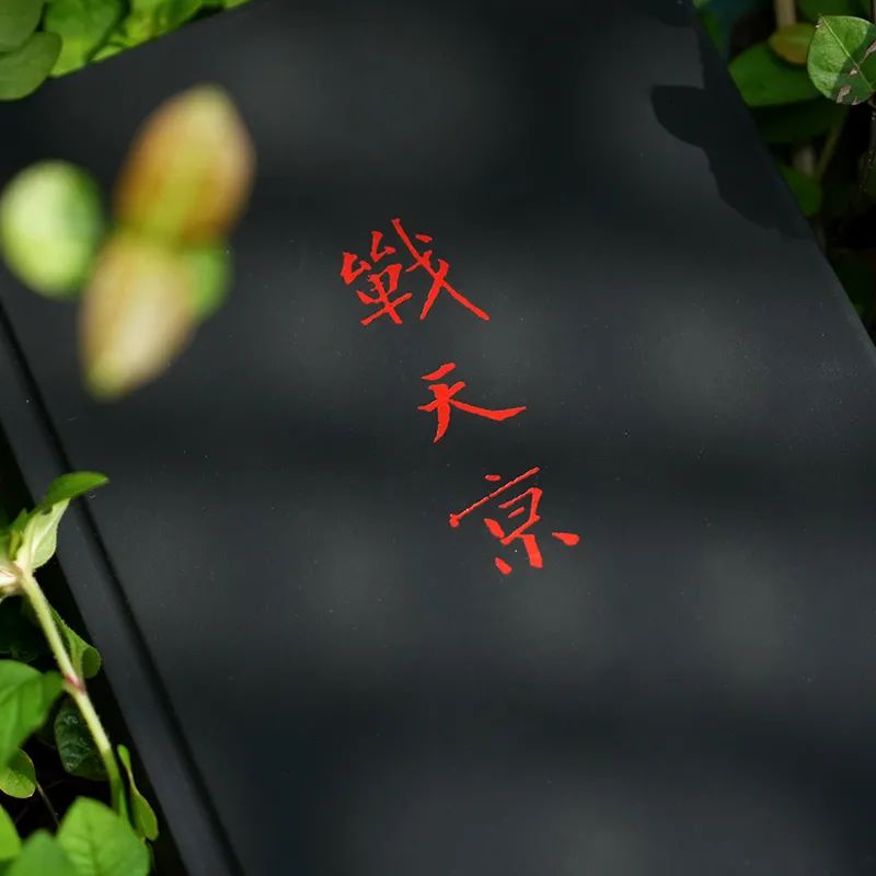 圖片