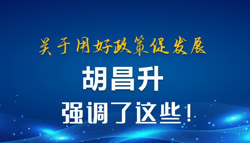 圖解|關(guān)于用好政策促發(fā)展 胡昌升強(qiáng)調(diào)了這些！