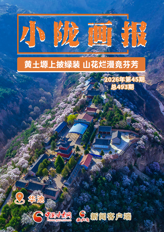 【小隴畫報(bào)·493期】華池：黃土塬上披綠裝 山花爛漫競芬芳