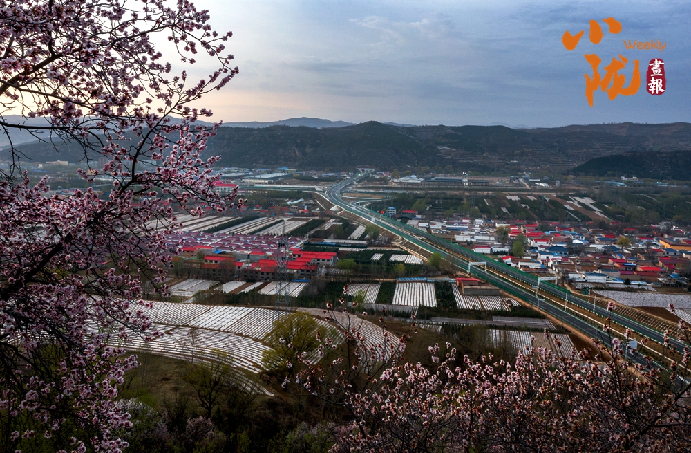【小隴畫報(bào)·496期】走進(jìn)康樂(lè)：邂逅山水間的天然清涼